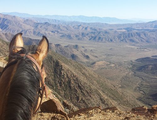 The Demise of the Historic Trail Systems of California