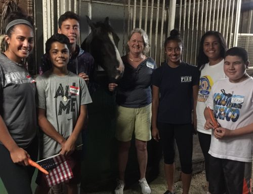 National Night Out 2017